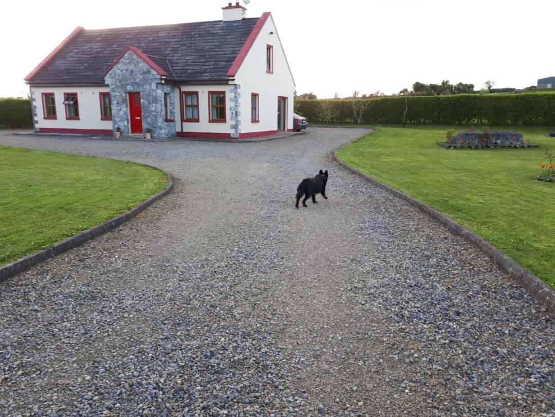 Ballytigue House Homestay *