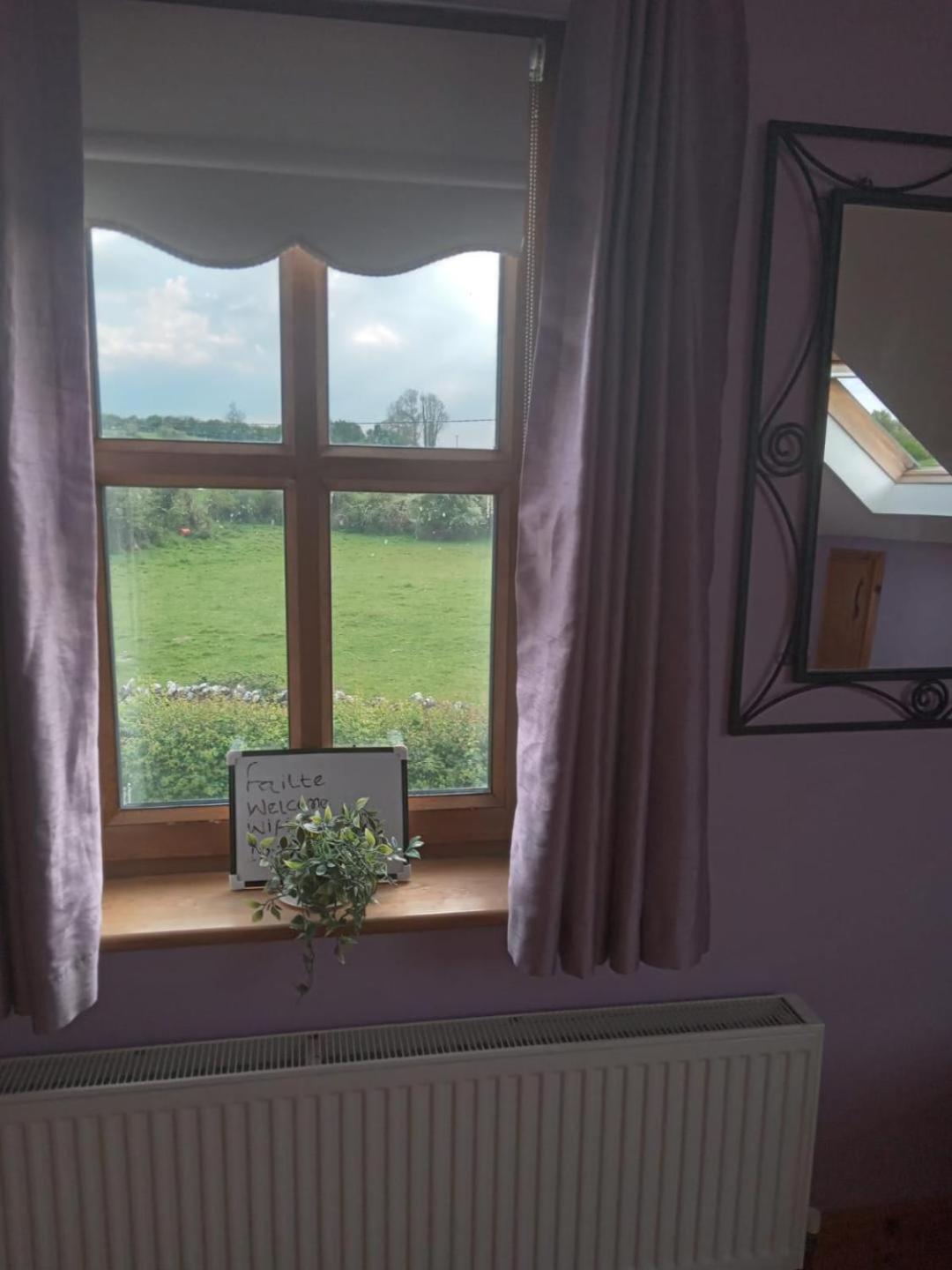 Ballytigue House Homestay *